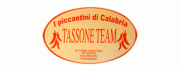 Tassone Team